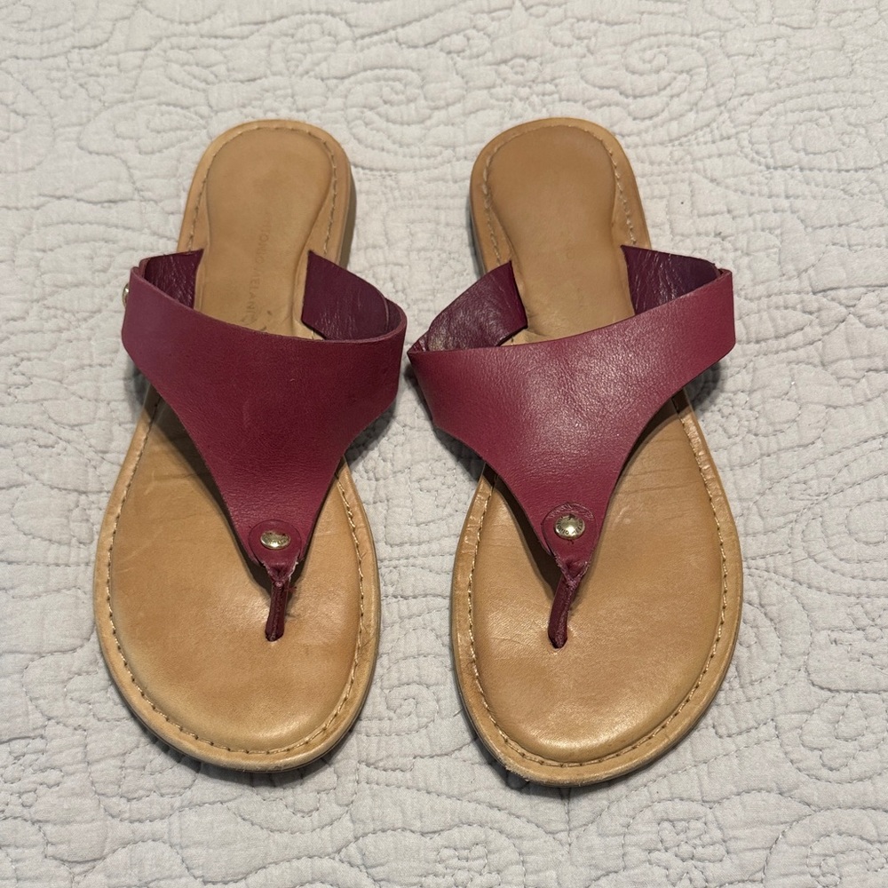 ANTONIO MELANI Maroon Leather Sandals